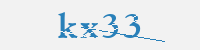 보안문자